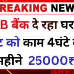 Pnb bank Work from home 2025