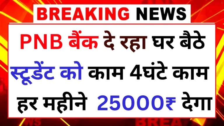 Pnb bank Work from home 2025